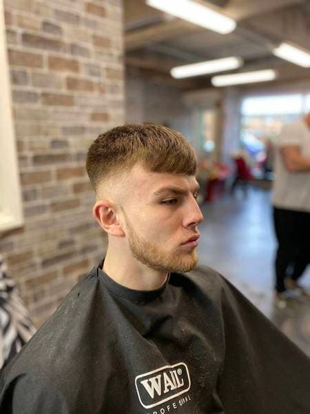 A haircut at Alpha Omega Grooming
